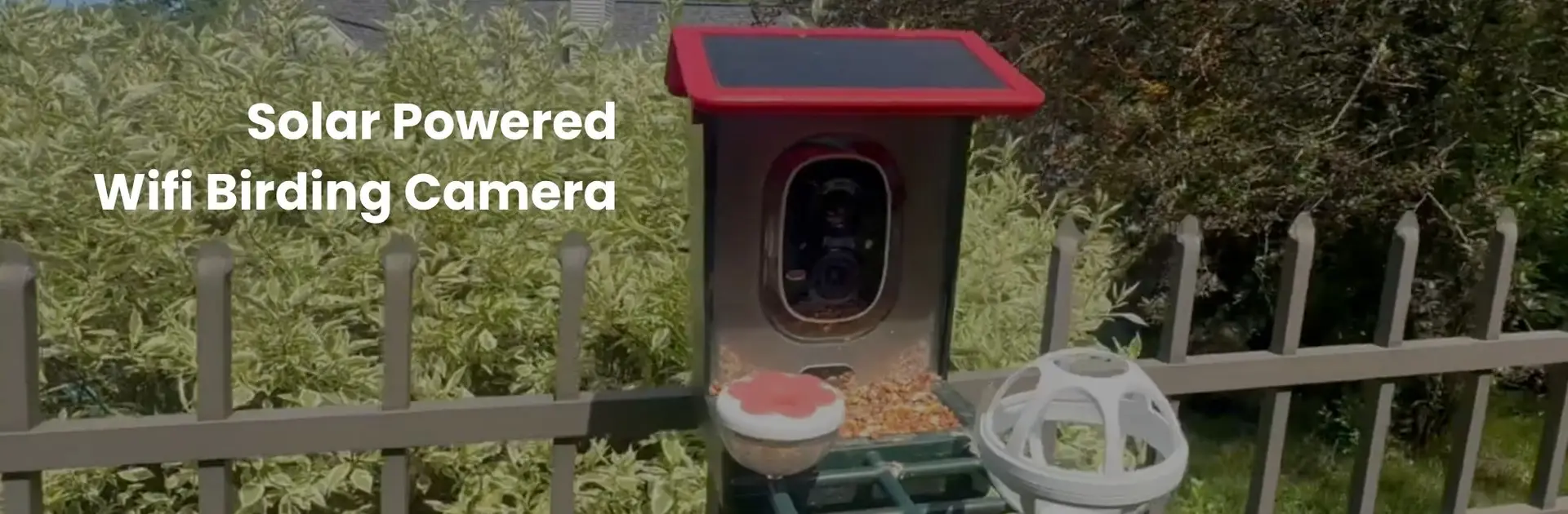 Solar Powered Wifi Birding Camera