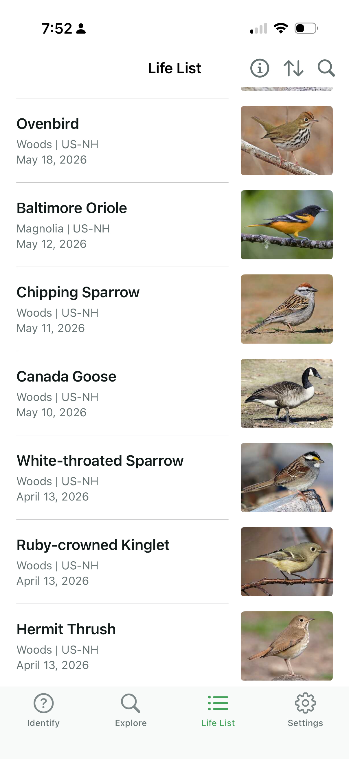 Merlin Bird ID Sound ID feature listening and identifying birds by ear in real time