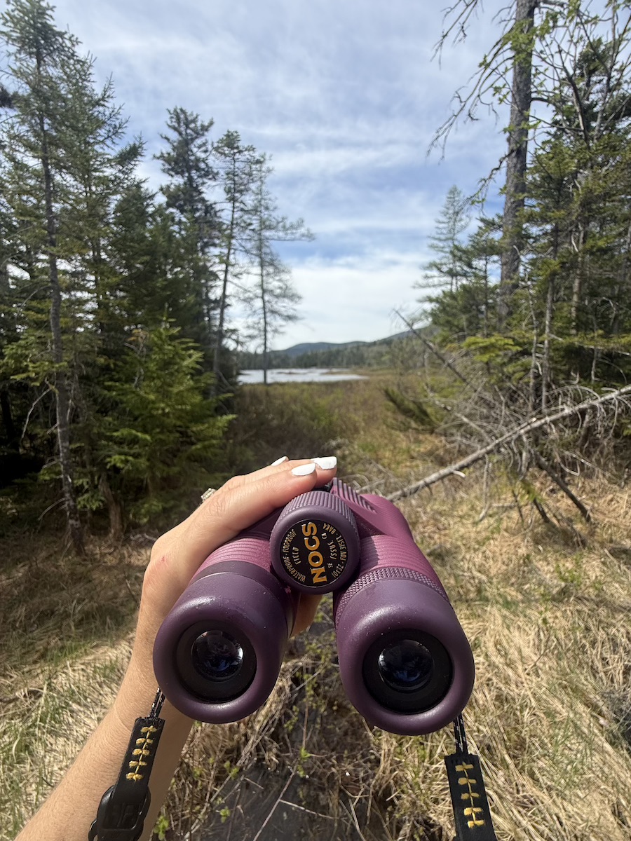 Nocs Provisions Standard Issue 10x25 binoculars