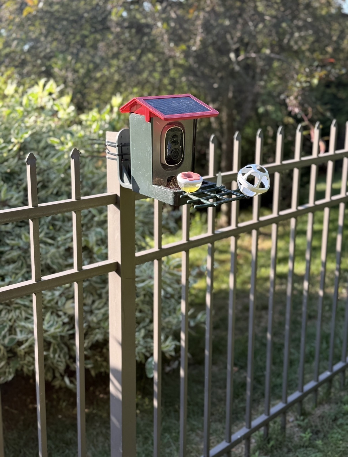 birding camera