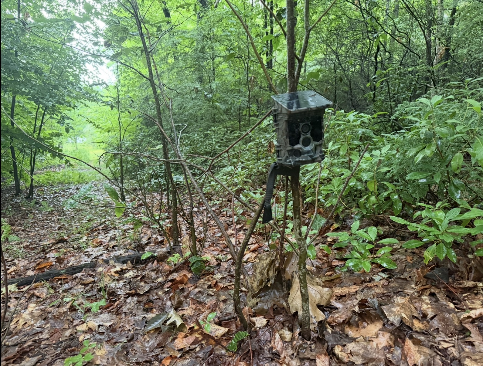 solar 4k trail cam